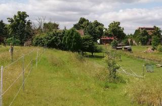 Gewerbeimmobilie kaufen in 06388 Gröbzig, sonstige Landwirtschaftsfläche in Gröbzig; Mindestgebot: 6.700 €; Einzelheiten siehe Exposee!