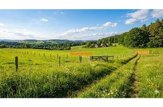 Gewerbeimmobilie kaufen in 79232 March, IMMORath.de - Weitläufige Wiesenfläche mit ca. 1 ha