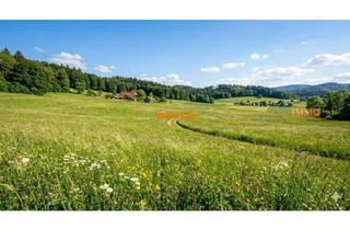 Gewerbeimmobilie kaufen in 79288 Gottenheim, IMMORath.de - Unland zu verkaufen