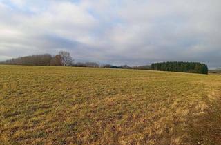 Gewerbeimmobilie kaufen in Zur Umkehr, 84048 Mainburg, Grünlandfläche in Sandelzhausen Ortsrandlage