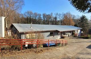 Gewerbeimmobilie kaufen in 32760 Detmold, Wohn- und Werkstattgebäude mit Garten und Terrasse in Detmold *Erbbaurecht*