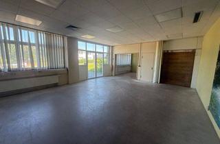 Geschäftslokal mieten in 79206 Breisach, Vielseitige Gewerbeimmobilie: Lager, Büro und Werkstatt kombinierbar