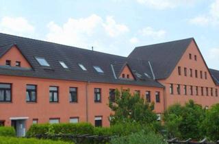 Wohnung mieten in Am Finkenberg 25, 01587 Riesa, Hübsche, kleine 4-Zimmer-Wohnung mit Laminatboden und Badewanne * ruhige Lage - Blick in die Gärten