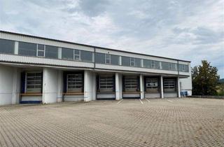 Geschäftslokal mieten in 96450 Coburg, ** CO-SÜD ** ab sofort ca. 4.500 m² mit Rampentoren