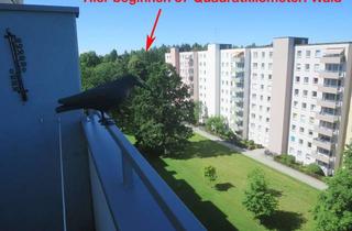 Wohnung kaufen in Immenstadterstraße, 81475 München, 5182 Fußballfelder Wald vor der Tür! Helle 1 Zi. Kü+EBK, Bad, Sunset-W.Balkon. FREI! Keine Prov.