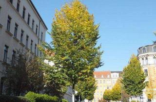 Wohnung kaufen in 04157 Leipzig, Elegante, helle und schön gelegene 5-Zimmer-ETAGENWOHNUNG mit Balkon in Gohlis