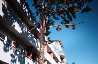 Wohnung kaufen in 69120 Neuenheim, Schön geschnittene Wohnung mitten in Neuenheim