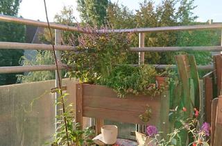 Wohnung mieten in An Der Tiefenriede 17, 30173 Südstadt, Südstadt - sonniges Studioapartment mit Fahrstuhl, Einbauküche und Balkon in gepflegtem Objekt