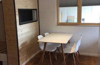 Wohnung mieten in Erlenbacher Weg, 74235 Erlenbach, 1 Zimmer Apartment