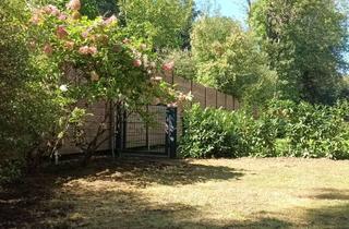 Wohnung mieten in Lorsbacher Straße 9c, 65719 Hofheim am Taunus, Hell & Ruhig 4 Zi.Neub.-Whg; Küche, eigener 227qm gr. Süd-Garten, Toplage *Hofheim a.Ts.* Stadtmitte