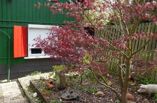 Wohnung mieten in Wallfahrtsweg 15, 53115 Poppelsdorf, Gemütliche Erdgeschosswohnung mit großem Garten in älterem Haus