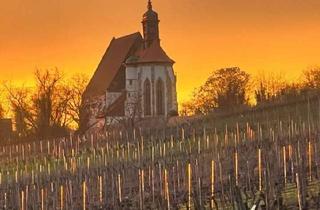 Wohnung mieten in 97332 Volkach, Idyllisches Wohnen mitten in den Weinbergen!