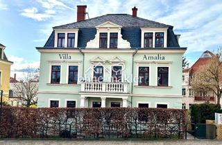 Anlageobjekt in 01129 Dresden, Attraktives Mehrfamilienhaus im boomenden Dresdner Norden