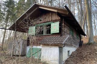 Haus kaufen in 86424 Dinkelscherben, Waldhaus