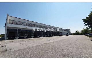 Gewerbeimmobilie mieten in 66450 Bexbach, Lager/ Produktion - 12x Rampe - ab sofort