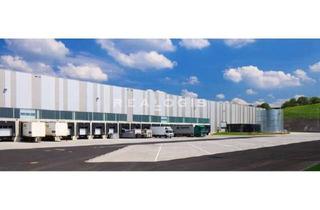 Gewerbeimmobilie mieten in 56630 Kretz, Lager- / Logistikfläche - Anbindung an die A61