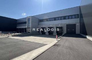 Gewerbeimmobilie mieten in 65451 Kelsterbach, Lager/ Logistik - in Flughafen nähe - 12x Rampe