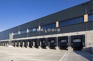 Gewerbeimmobilie mieten in 68766 Hockenheim, NEUBAU: Ca. 20.000 qm Lager- / Logistikfläche | Rampen + ebenerdig | ca. 10,50 m UKB