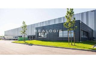 Gewerbeimmobilie mieten in 64807 Dieburg, Lager/ Logistik - 21x Rampe - 10,50 m UKB