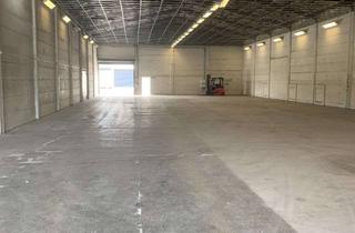 Gewerbeimmobilie mieten in Im Schäwe 23, 14547 Beelitz, Kalthalle im Gewerbepark Beelitz