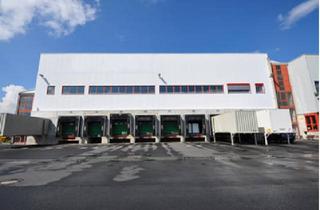 Büro zu mieten in 36289 Friedewald, —Sofort verfügbar ++++ Logistik-/Hallenfläche/n – optional Bürofläche zu vermieten +++++