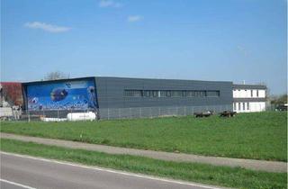 Gewerbeimmobilie mieten in 89195 Staig, Kranhalle für Handwerksbetrieb