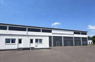 Gewerbeimmobilie kaufen in Ottostraße, 54292 Trier, Vermietete Gewerbehalle mit Büro und großzügiger Freifläche – ca. 60.000 € Jahresmiete brutto