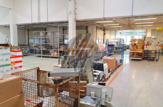Büro zu mieten in 63303 Dreieich, RAMPE ✓ Lager (1.000 m²) & Büro (250 m²) zu vermieten