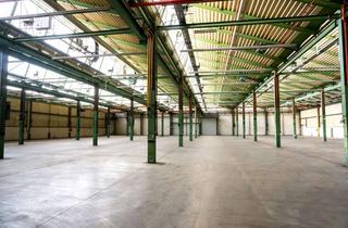 Gewerbeimmobilie mieten in 34576 Homberg, —— Sofort verfügbar ++++ Logistik-/Lager-/Produktionsfläche zu vermieten ++++++