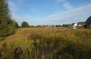 Grundstück zu kaufen in 15806 Zossen, Schönes Eckgrundstück in Nächst Neuendorf