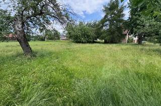 Grundstück zu kaufen in 72401 Haigerloch, Baugrundstück für dein Traumhaus – perfekt & sofort realisierbar!