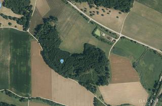 Gewerbeimmobilie kaufen in 86653 Weilheim, Waldgrundstück mit Fichtenbestand und Eichenallee