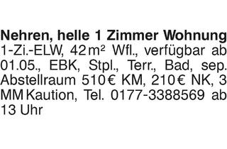 Wohnung mieten in 72147 Nehren, Nehren, helle 1 Zimmer Wohnung