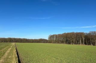 Immobilie kaufen in 28857 Syke, Ackerfläche in Syke-Barrien! Bieterfrist bis zum 09.04.2026!