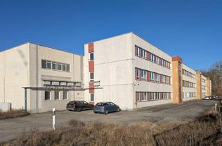 Gewerbeimmobilie kaufen in 17034 Neubrandenburg, Stabilisiertes Gewerbeinvestment mit Bebauungsreserve