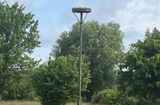 Garagen kaufen in 03238 Finsterwalde, Bauernhof mit landwirtschaftlicher Fläche