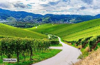 Immobilie kaufen in 55291 Ober-Saulheim, Landwirtschaftsflächen