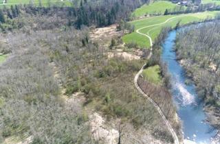 Grundstück zu kaufen in 83569 Vogtareuth, Vogtareuth - Auwald in der Vogtareuther Au