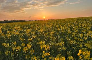 Wohnung kaufen in 38300 Wolfenbüttel, Wolfenbüttel - Wohnung zu verkaufen - ruhig & trotzdem mitten im Leben!