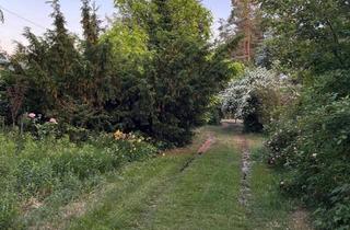 Haus kaufen in 14778 Beetzsee, Beetzsee - 3.260 m² Grundstück am Waldrand in Radewege Siedlung. Sehr gepfl