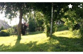 Mehrfamilienhaus kaufen in 07343 Wurzbach, Wurzbach - 3-Seiten-Hof, Mehrfamilienhaus, großer Garten, Familienfreundlich