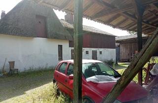 Haus kaufen in 27729 Hambergen, Hambergen - Alleinlage mit Stallungen und 1,8 ha Weideland - Pferdeoase