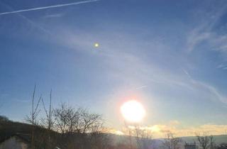 Einfamilienhaus kaufen in 59269 Beckum, Beckum - Einfamilienhaus mit Einliegerwohnung im Grünen