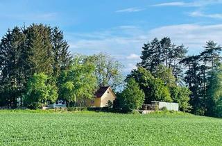 Haus kaufen in 88090 Immenstaad, Immenstaad am Bodensee - Haus mit Grundstück in mitten Natur, nähe Bodensee am Weiher
