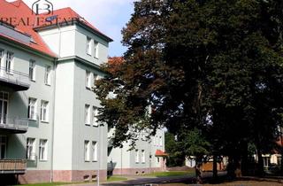 Wohnung kaufen in An Der Enckekaserne 126, 39110 Stadtfeld West, Vermietete Eigentumswohnung mit Balkon in saniertem Altbau