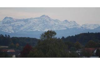 Wohnung mieten in 88094 Oberteuringen, Moderne helle, renovierte Wohnung mit drei Zimmern in Oberteuringen