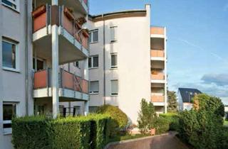 Wohnung mieten in 63165 Mühlheim, Schöne, gepflegte 2 Zimmerwohnung mit Balkon in Mühlheim