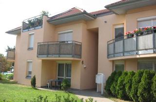 Wohnung mieten in Alte Gärtnerei, 01689 Weinböhla, 3 Zimmerwohnung in ruhiger grüner Wohnlage