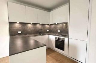 Wohnung mieten in Frölingstraße 47c, 61348 Bad Homburg, Modern & Großzügig: 3-Zimmer-EG-Wohnung mit eigenem Garten - Stadtgärten Bad Homburg