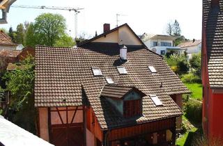 Wohnung mieten in 79540 Lörrach, MODERN, GROßZÜGIG UND OFFEN